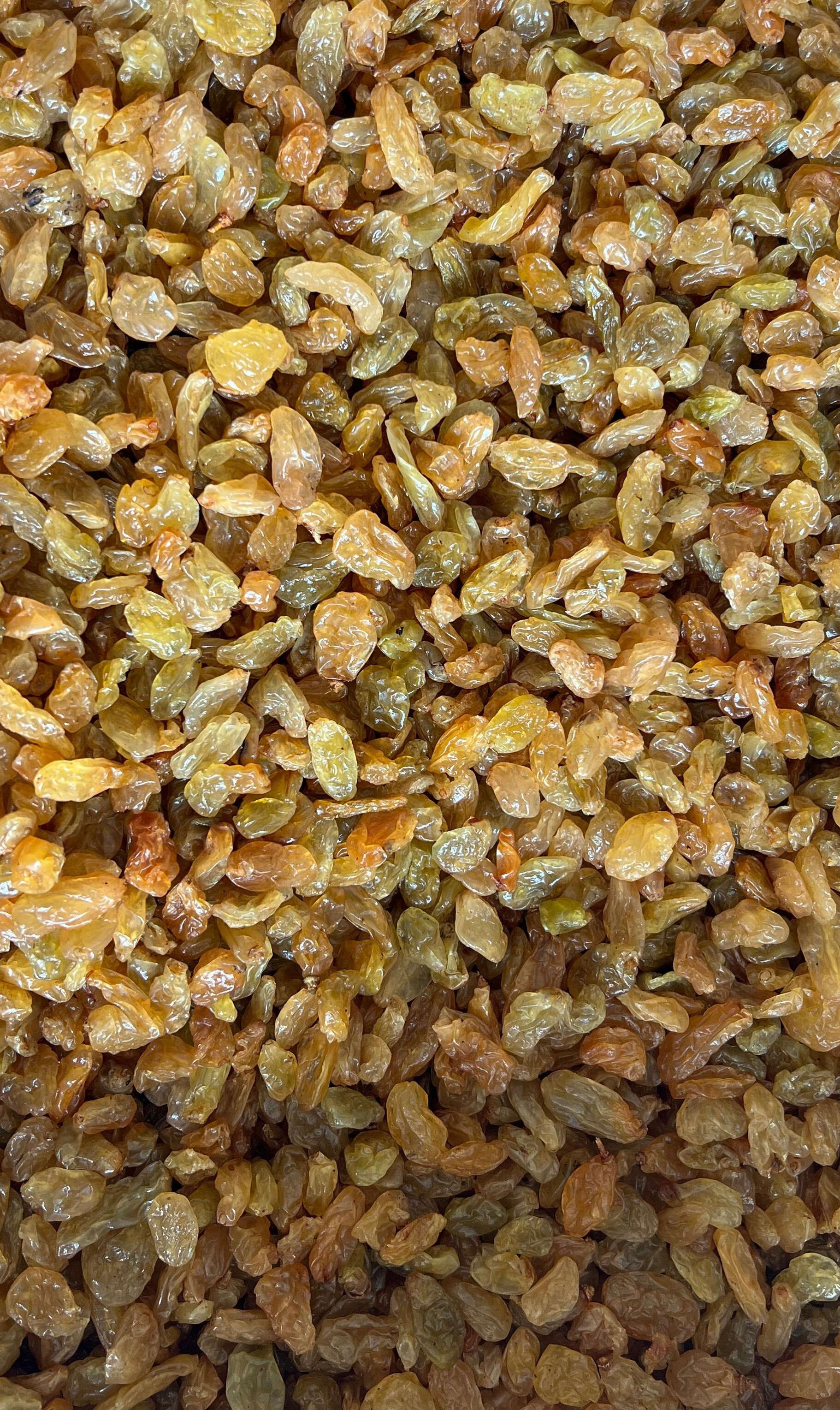 Golden Raisin A Grade